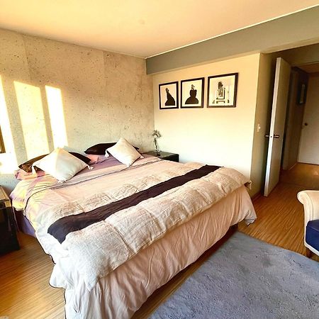 Appartamento Departamento Delux Santiago del Cile Esterno foto